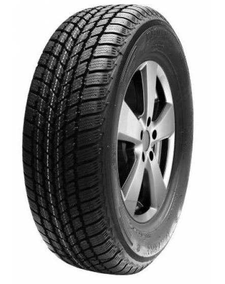 MASTERSTEEL WINTER + 205/50 R17 93H