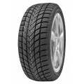 DELINTE WINTER WD6 225/55 R17 97H