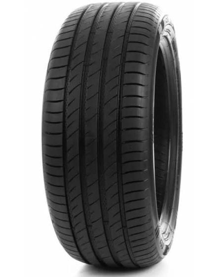 DELINTE DS2 205/50 R17 93W